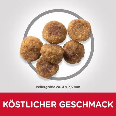 Hill's Science Plan Adult Small & Mini Lam & Rijst - Afbeelding 2