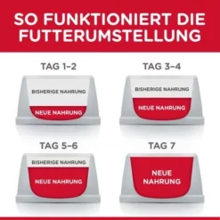 Hill's Science Plan Adult Small & Mini Lam & Rijst -Exporteren Bitiba winkel 106003 hill s scienceplan adult small mini lamb rice 6kg hs 07 8