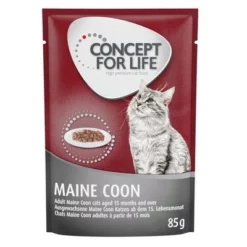 Concept For Life Maine Coon Adult Zalm - Graanvrije Receptuur! 11 Concept For Life Maine Coon Adult Zalm - Graanvrije Receptuur! -Exporteren Bitiba winkel 111112 pla concept for life katze nass maine coon 85g 9