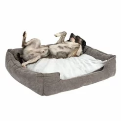Hondenbed Austin Met Traagschuim -Exporteren Bitiba winkel 111542 hundebett mem foam austin fg 0510 2