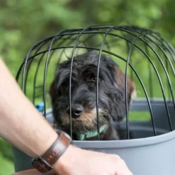 Trixie Friends On Tour Fietsmand Voor Bagagedrager -Exporteren Bitiba winkel 122212 trixie friendsontour fahrradkorb gepaecktraeger hs 15 1