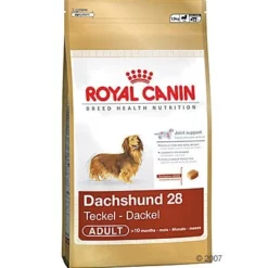Royal Canin Teckel Adult Hondenvoer -Exporteren Bitiba winkel 12440 1