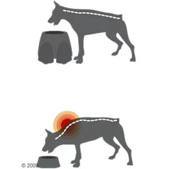 Savic Ergo Feeder Hondenbar -Exporteren Bitiba winkel 125461 savic ergofeeder3 1