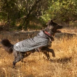 KONG OUTERWEAR Elements Regenjas Zwart -Exporteren Bitiba winkel 130697 paw kong elements regenmantel schwarz 30kg hs 04 2