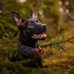 Rukka® Cube Soft Kraag, Rood / Zwart -Exporteren Bitiba winkel 139798 lfashion rukka cube soft halsband rot hs 03 8