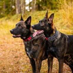 Rukka® Cube Soft Kraag, Rood / Zwart -Exporteren Bitiba winkel 139798 lfashion rukka cube soft halsband rot hs 04 4