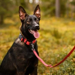 Rukka® Cube Soft Kraag, Rood / Zwart -Exporteren Bitiba winkel 139798 lfashion rukka cube soft halsband rot hs 06 0