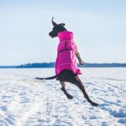 Rukka® Warmup Hondenjas - Roze 12 Rukka® Warmup Hondenjas - Roze -Exporteren Bitiba winkel 139904 lfashion rukka warmup hundemantel hotpink 38cm hs 04 1