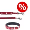 Hunter Set: Halsband Swiss + Hondenriem Swiss 1 Hunter Set: Halsband Swiss + Hondenriem Swiss -Exporteren Bitiba winkel 140529 7