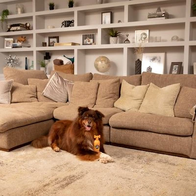 Pet Head Ditch The Dirt Shampoo 6 Pet Head Ditch The Dirt Shampoo - Afbeelding 4