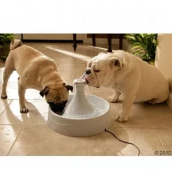 PetSafe® Drinkwell® Drinkfontein 360 -Exporteren Bitiba winkel 160773 schulze drinkwell360 1