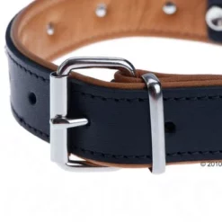 Heim Leren Halsband Stars -Exporteren Bitiba winkel 160891 heim halsband stars 5 1