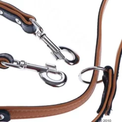 Heim Set: Hondenriem Stars + Leren Halsband Stars -Exporteren Bitiba winkel 161039 heim 2meterleine stars3 1