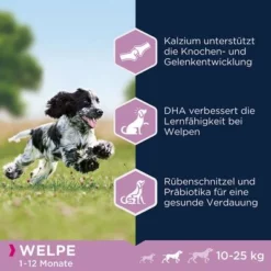 Eukanuba Puppy Medium Breed Kip Hondenvoer -Exporteren Bitiba winkel 162900 tetragmbhiams eukanuba puppy mediumbreed huhn dog 15kg hs 05 6