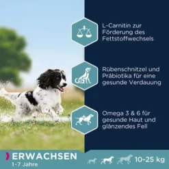 Eukanuba Adult Medium Breed Kip Hondenvoer -Exporteren Bitiba winkel 162906 tetragmbhiams eukanuba adult mediumbreed huhn dog 15kg hs 04 6