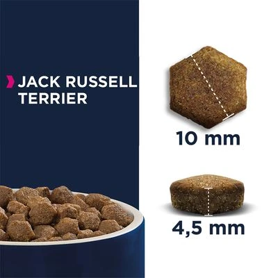 Eukanuba Breed Jack Russell Terriër Hondenvoer 4 Eukanuba Breed Jack Russell Terriër Hondenvoer - Afbeelding 2