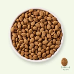 Yarrah Bio Senior Kip Hondenvoer -Exporteren Bitiba winkel 17062 dog dry yarrah senior 2kg 8714265000331 7 9