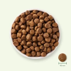 Yarrah Bio Graanvrij Met Biologische Kip Hondenvoer -Exporteren Bitiba winkel 17064 dog dry yarrah grain free 2kg 8714265000287 7 4