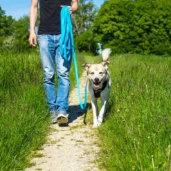 Petlando Pawz & Pepper Hondenlijn Strong Blauw -Exporteren Bitiba winkel 174796 174797 pawznpepper schleppleine rund geflochten blau hs 05 6