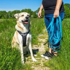 Petlando Pawz & Pepper Hondenlijn Strong Blauw -Exporteren Bitiba winkel 174796 174797 pawznpepper schleppleine rund geflochten blau hs 06 9