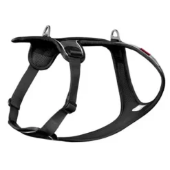 Curli Belka Comfort Tuigje - Zwart -Exporteren Bitiba winkel 176034 curli belka comfort geschirr schwarz hs 04 7