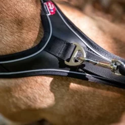 Curli Belka Comfort Tuigje - Zwart -Exporteren Bitiba winkel 176034 curli belka comfort geschirr schwarz hs 10 7