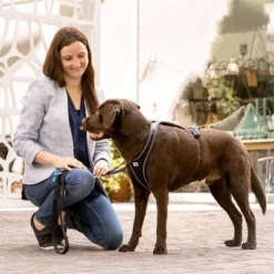 Curli Verstelbare Hondenlijn Nylon Zwart -Exporteren Bitiba winkel 177008 curli verstellbare leine nylon schwarz hs 03 8