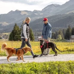 Curli Belka Comfort Tuigje - Rood -Exporteren Bitiba winkel 177196 curli belka comfort geschirr rot hs 12 1