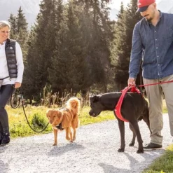 Curli Belka Comfort Tuigje - Rood -Exporteren Bitiba winkel 177196 curli belka comfort geschirr rot hs 13 7