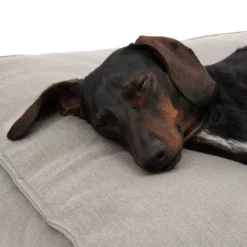 Hondenbed Hamilton EcoLIFE - Grijs -Exporteren Bitiba winkel 180715 hamilton ecolife grau fg 6400 5