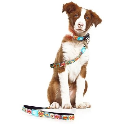 Max & Molly Korte Lijn Comic 6 Max & Molly Korte Lijn Comic - Afbeelding 4