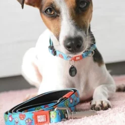 Max & Molly Korte Lijn Little Monsters -Exporteren Bitiba winkel 189596 maxnmolly kurzleine little monsters dog hs 02 6