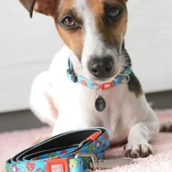 Max & Molly Multifunctionele Lijn Little Monsters -Exporteren Bitiba winkel 189696 186582 189796 maxnmolly multifunktionsleine littlemonsters dog hs 05 0