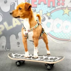 Max & Molly H-Tuigje Comic -Exporteren Bitiba winkel 189999 186590 190000 maxnmolly h geschirr comic hs 03 8