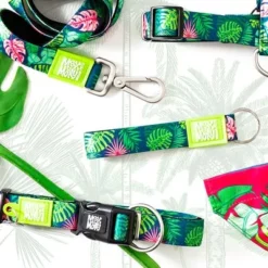 Max & Molly Multifunctionele Lijn Tropical 10 Max & Molly Multifunctionele Lijn Tropical -Exporteren Bitiba winkel 190209 190210 190212 maxnmolly multifunktionsleine tropical hs 02 1