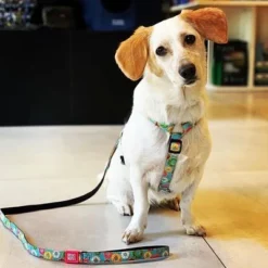 Max & Molly H-Tuig Donuts 13 Max & Molly H-Tuig Donuts -Exporteren Bitiba winkel 190296 190297 190396 maxnmolly hg eschirr donuts hs 02 2