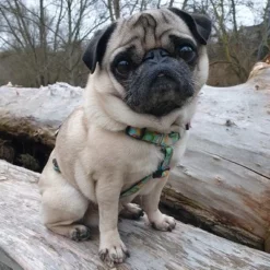 Max & Molly H-Tuig Donuts 18 Max & Molly H-Tuig Donuts -Exporteren Bitiba winkel 190296 190297 190396 maxnmolly hg eschirr donuts hs 03 2