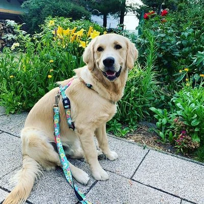 Max & Molly H-Tuig Donuts 10 Max & Molly H-Tuig Donuts - Afbeelding 8