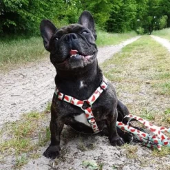 Max & Molly H-Tuig Watermelon -Exporteren Bitiba winkel 190413 190414 190703 maxnmolly hg eschirr watermelon hs 03 8