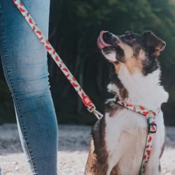 Max & Molly H-Tuig Watermelon -Exporteren Bitiba winkel 190413 190414 190703 maxnmolly hg eschirr watermelon hs 08 4