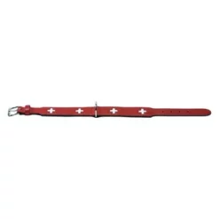 Hunter Halsband Swiss -Exporteren Bitiba winkel 19226 PLA Hunter Halsband Swiss 42cm 1