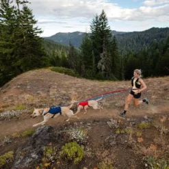 Ruffwear Switchbak Harnas, Blue Moon -Exporteren Bitiba winkel 193199 193200 193201 accapi ruffwear switchbak harness bluemoon dog hs 10 5