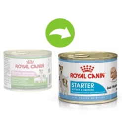 Royal Canin Starter Mousse Mother & Babydog Hondenvoer 8 Royal Canin Starter Mousse Mother & Babydog Hondenvoer -Exporteren Bitiba winkel 197533 royal canin starter motherbabydog 8