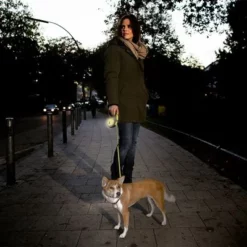 Flexi New Neon Rollijn Tape, 5 M -Exporteren Bitiba winkel 198297 198296 198298 flexi new neongurt leine hs 07 1