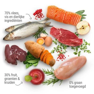 Extra Voordelig! 6,5 Kg Purizon Katten Droogvoer 4 Extra Voordelig! 6,5 Kg Purizon Katten Droogvoer - Afbeelding 2