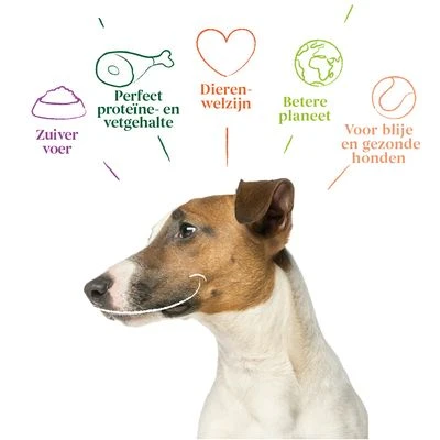 Yarrah Bio Mini Snack Voor Honden - Afbeelding 2