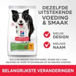 Hill's Science Plan Adult 7+ Senior Vitality Medium Met Kip 11 Hill's Science Plan Adult 7+ Senior Vitality Medium Met Kip -Exporteren Bitiba winkel 1 atf11 604384 key changes 8