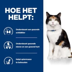 Hill´s Prescription Diet Feline Y/D Schildklierproblemen Kattenvoer Original 12 Hill´s Prescription Diet Feline Y/D Schildklierproblemen Kattenvoer Original -Exporteren Bitiba winkel 1 atf 605627 how it helps 2