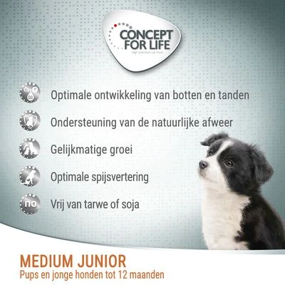 Concept For Life Medium Junior Hondenvoer 6 Concept For Life Medium Junior Hondenvoer - Afbeelding 4