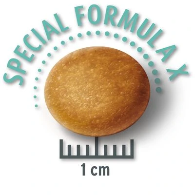 Concept For Life Large Junior Hondenvoer 5 Concept For Life Large Junior Hondenvoer - Afbeelding 3